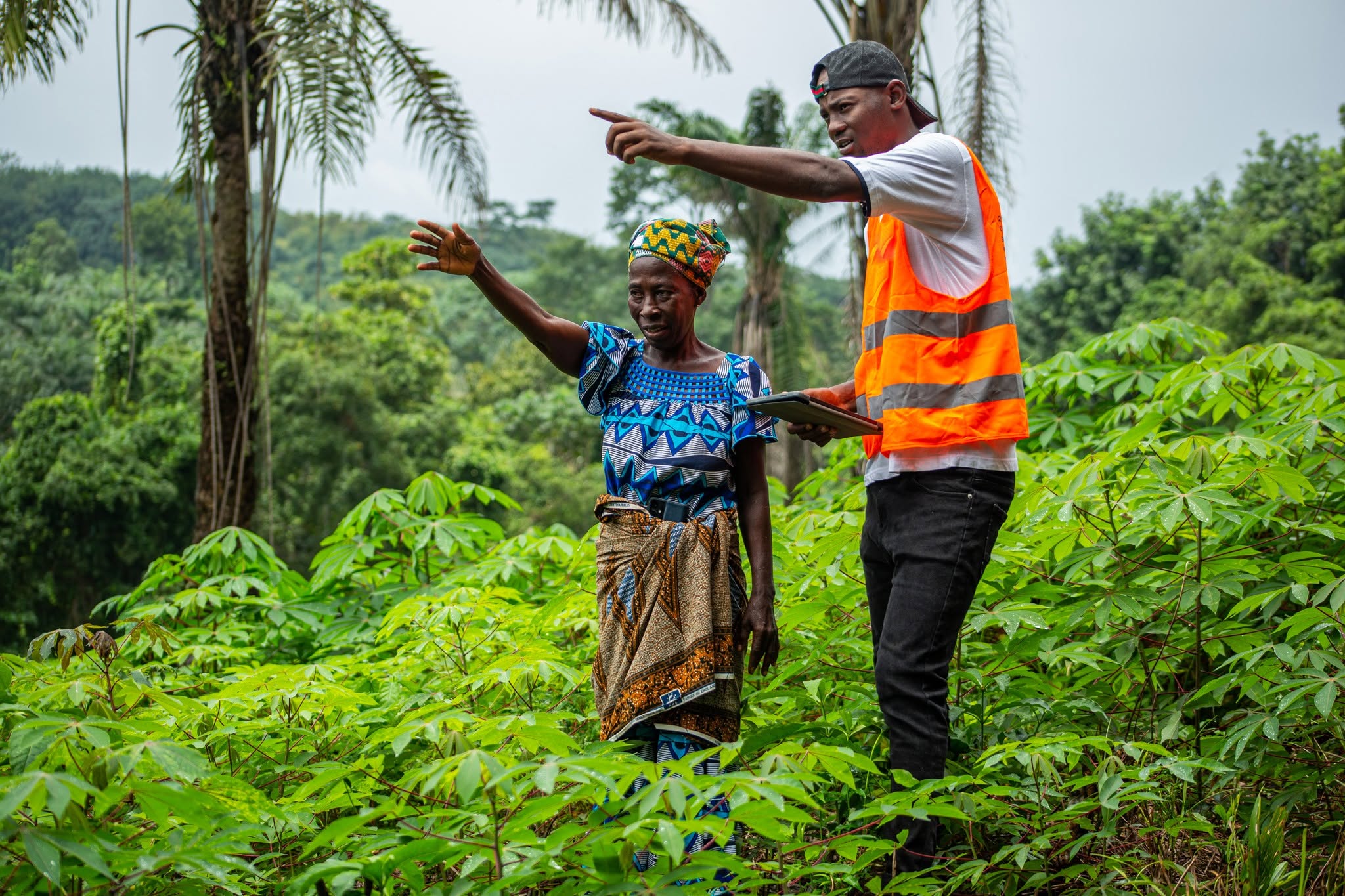 PRESFOR Côte d’Ivoire : plus de 2,3 millions d’hectares sécurisés, la Banque mondiale salue les progrès fonciers