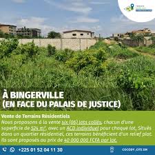 Lot 300m² - Lotissement Les Palmiers